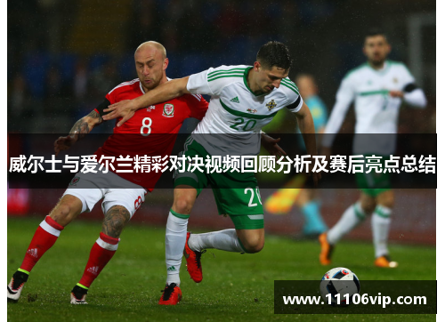 威尔士与爱尔兰精彩对决视频回顾分析及赛后亮点总结